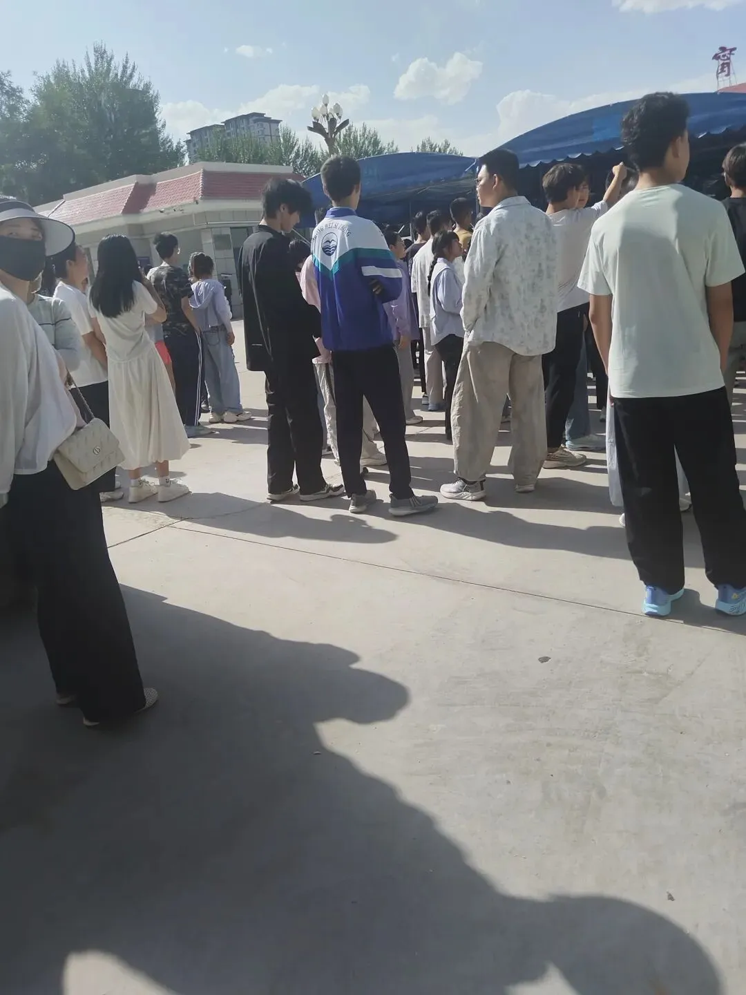 儿子中考了-第1张图片-四季读书网