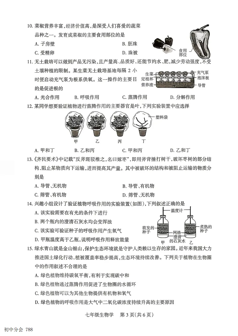 2025-2026七年级下学期期末全科试卷及答案(含地生含听力)-第43张图片-四季读书网