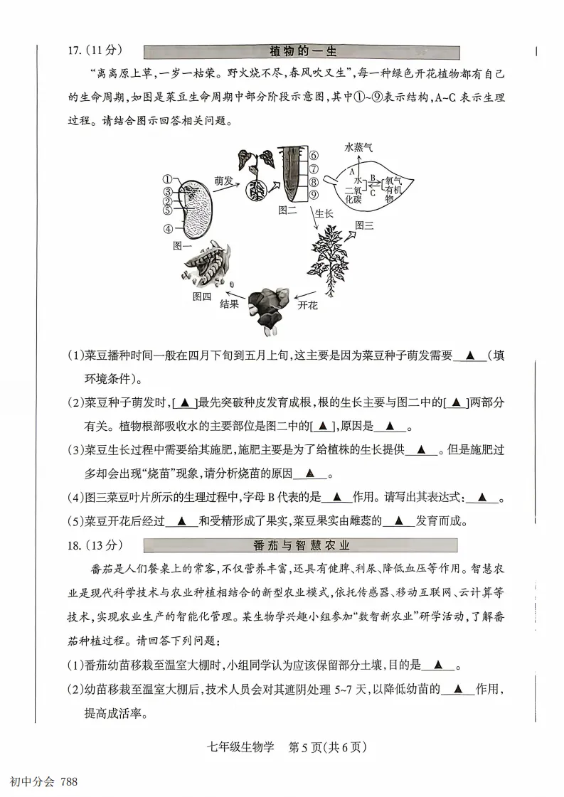2025-2026七年级下学期期末全科试卷及答案(含地生含听力)-第45张图片-四季读书网