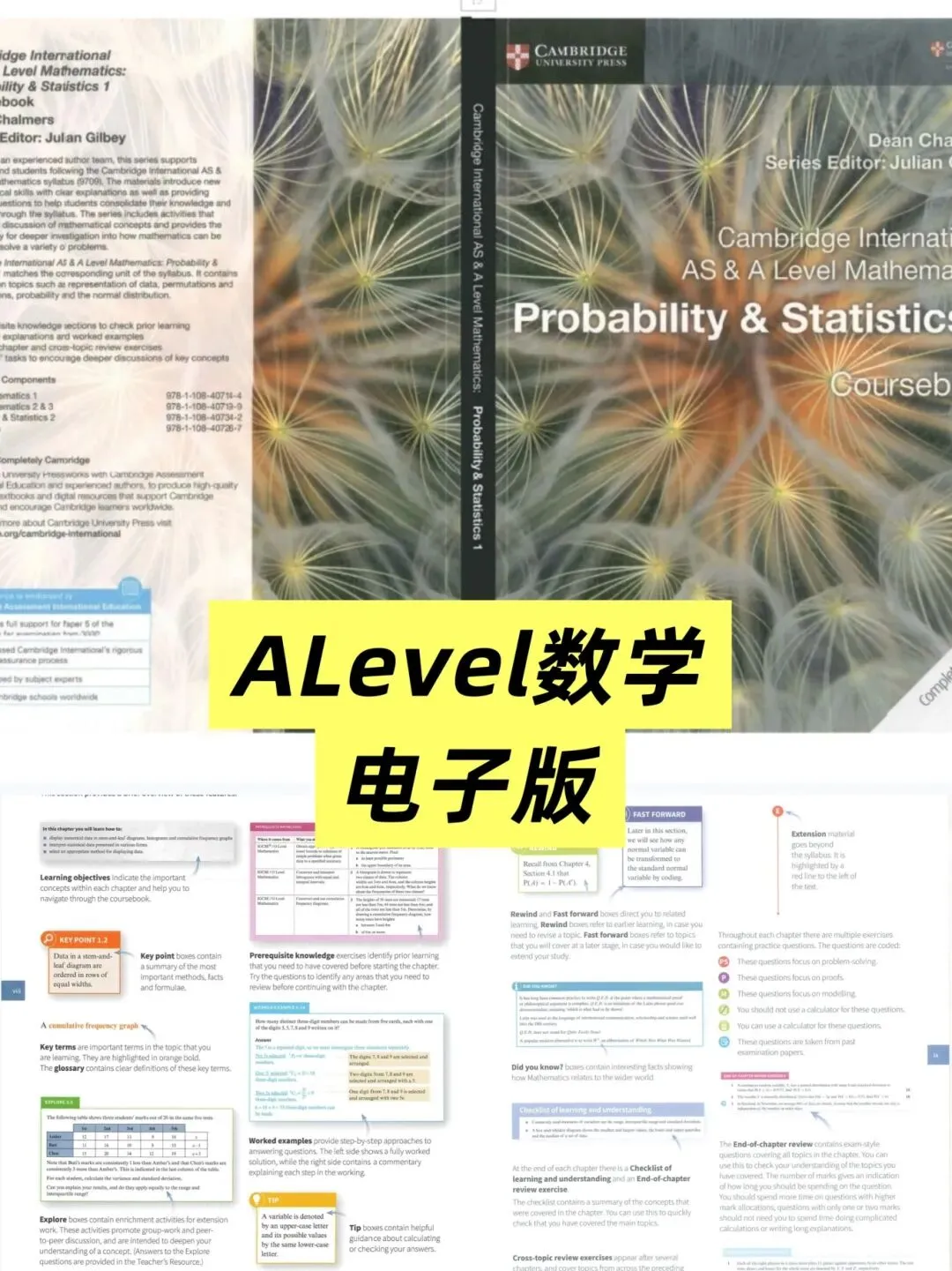ALevel数学/进阶数学自学教材+真题解析!暑假备考不走弯路!-第4张图片-四季读书网