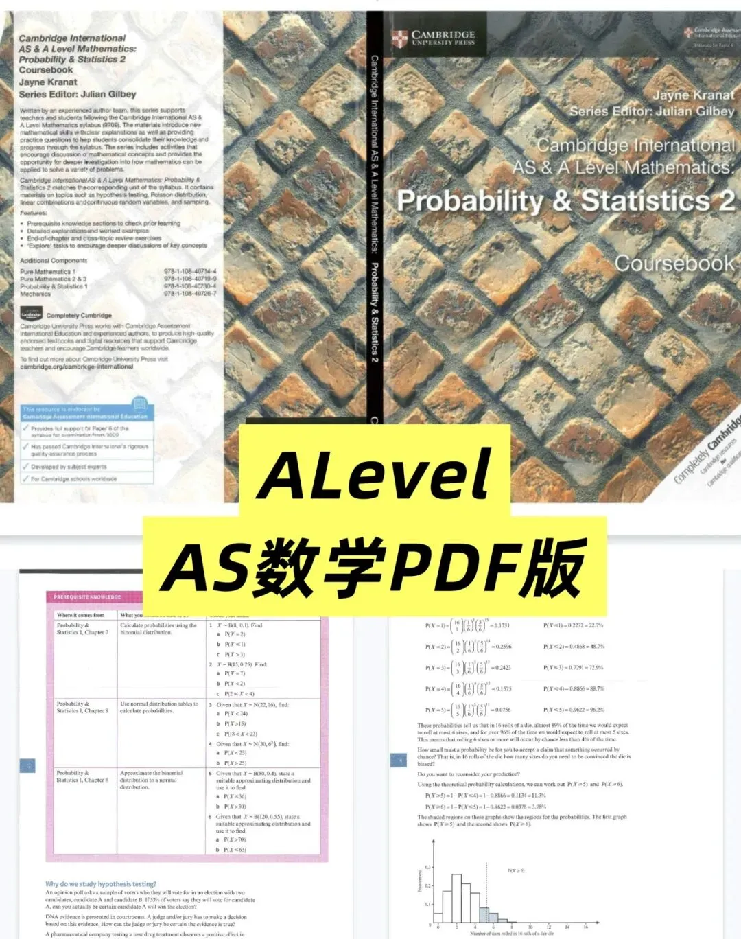 ALevel数学/进阶数学自学教材+真题解析!暑假备考不走弯路!-第5张图片-四季读书网