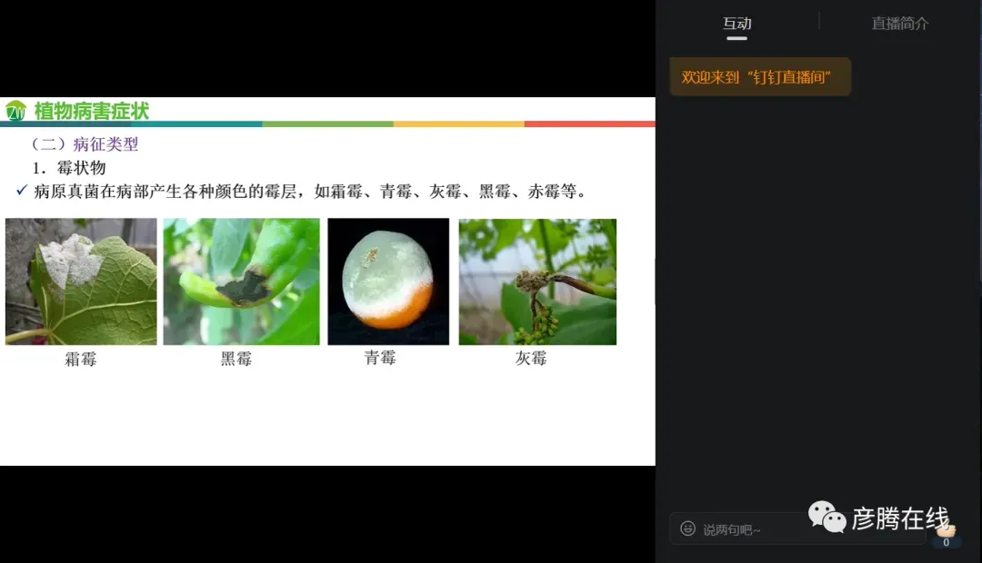 2026年6月四级真题第一套-第2张图片-四季读书网 2026年6月四级真题第一套-第2张图片-四季读书网
