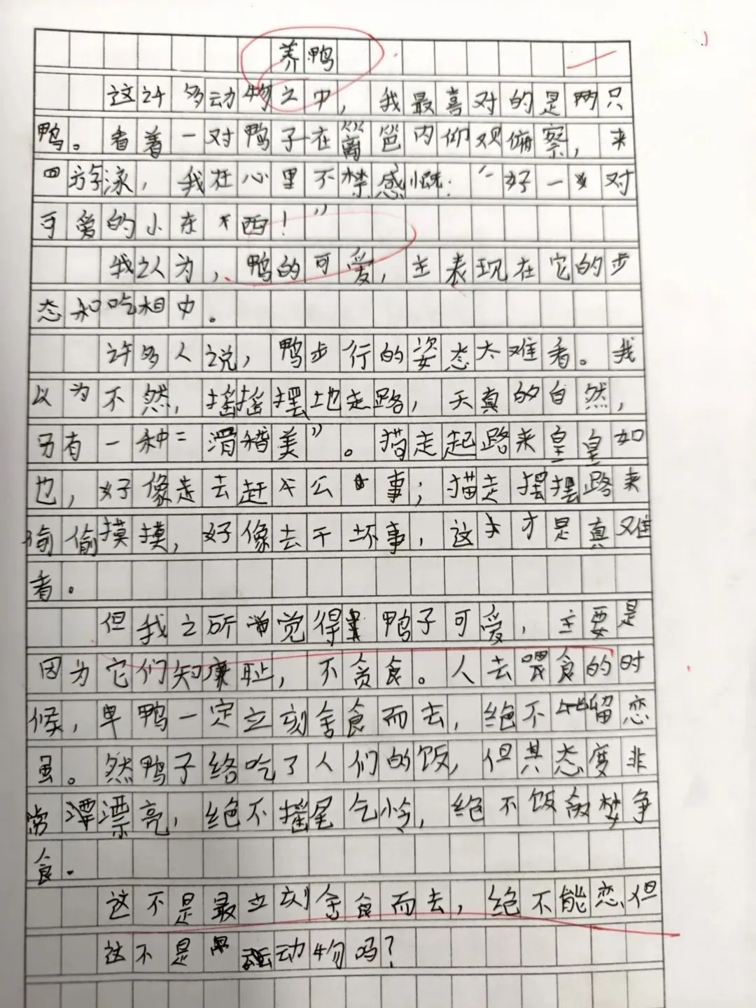 四年级期末作文试卷分析-第3张图片-四季读书网