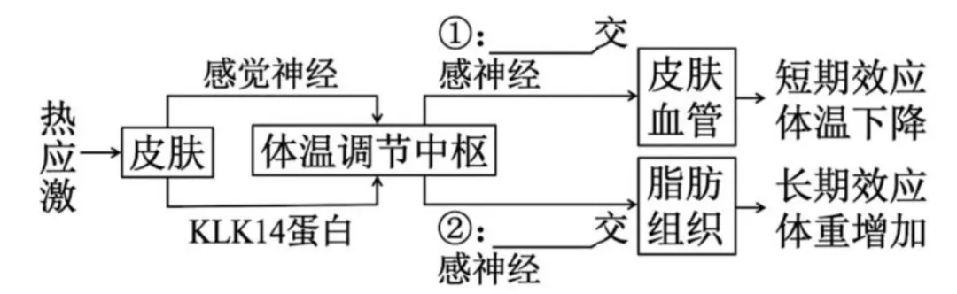 真题分析 | 2026年广东卷18题-第5张图片-四季读书网
