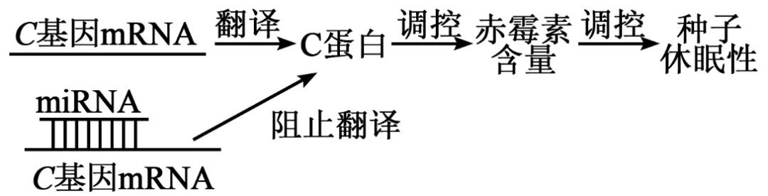 2026年湖南省高考生物真题完全解读-第16张图片-四季读书网