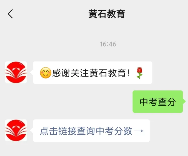 重磅!2026年黄石中考分数线、一分一段表公布!-第5张图片-四季读书网