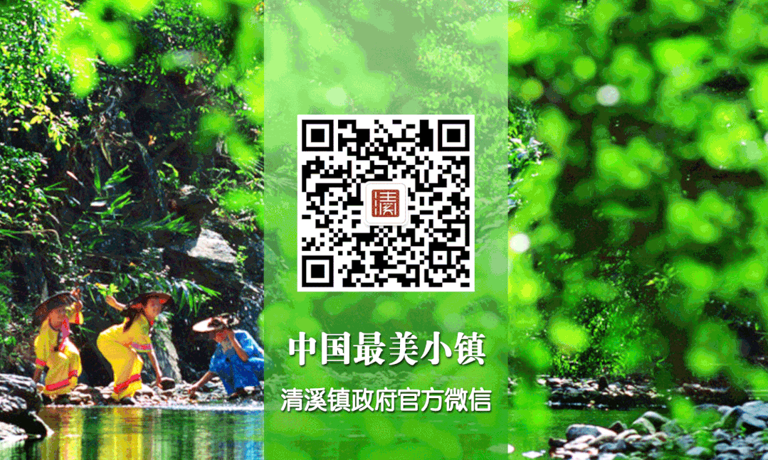 中考首日,清溪6314名考生执笔赴考场!-第8张图片-四季读书网