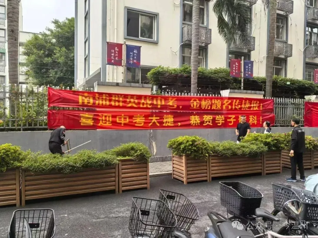 南浦实验,中考佳绩-第1张图片-四季读书网