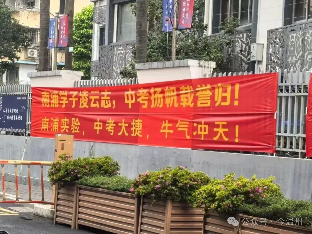 南浦实验,中考佳绩-第2张图片-四季读书网