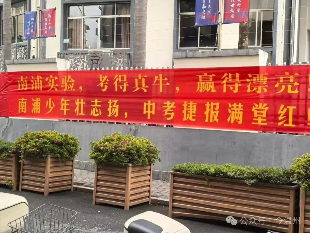 南浦实验,中考佳绩-第3张图片-四季读书网