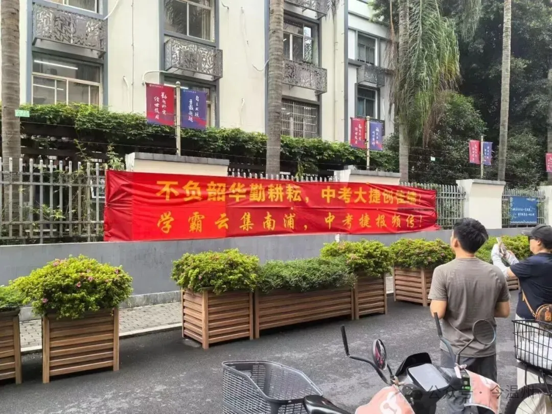 南浦实验,中考佳绩-第4张图片-四季读书网