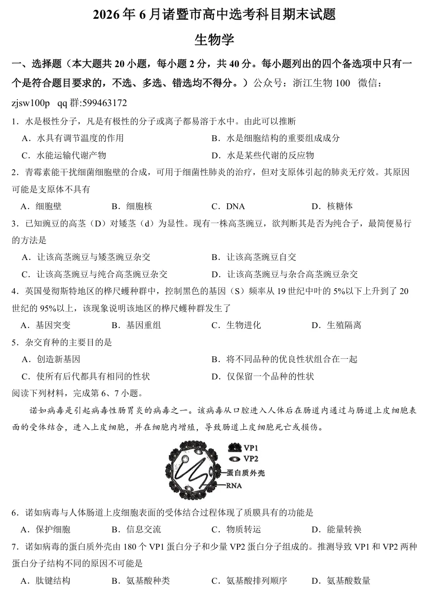2026年6月诸暨高一期末生物试卷、答案-第1张图片-四季读书网