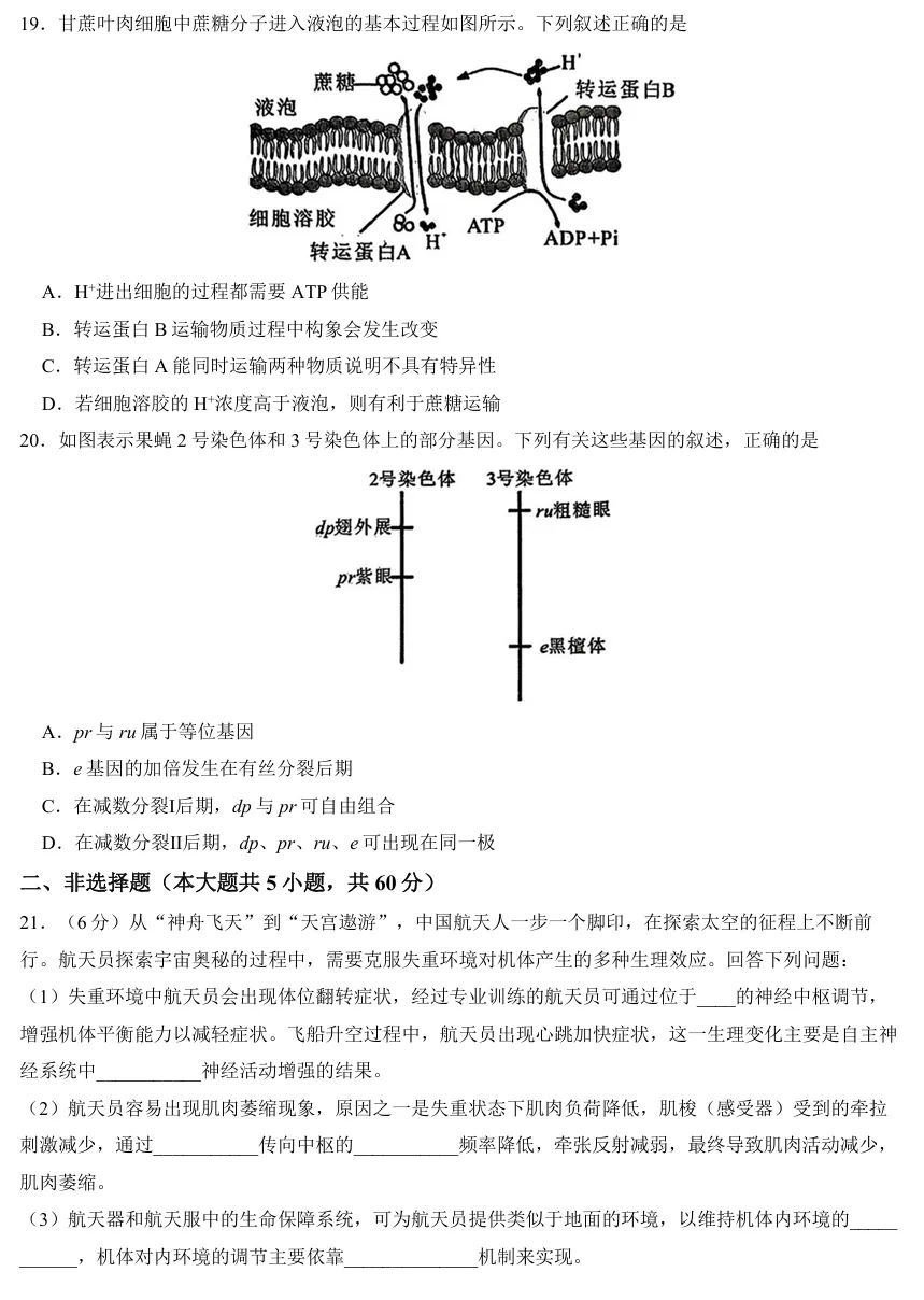 2026年6月诸暨高一期末生物试卷、答案-第4张图片-四季读书网