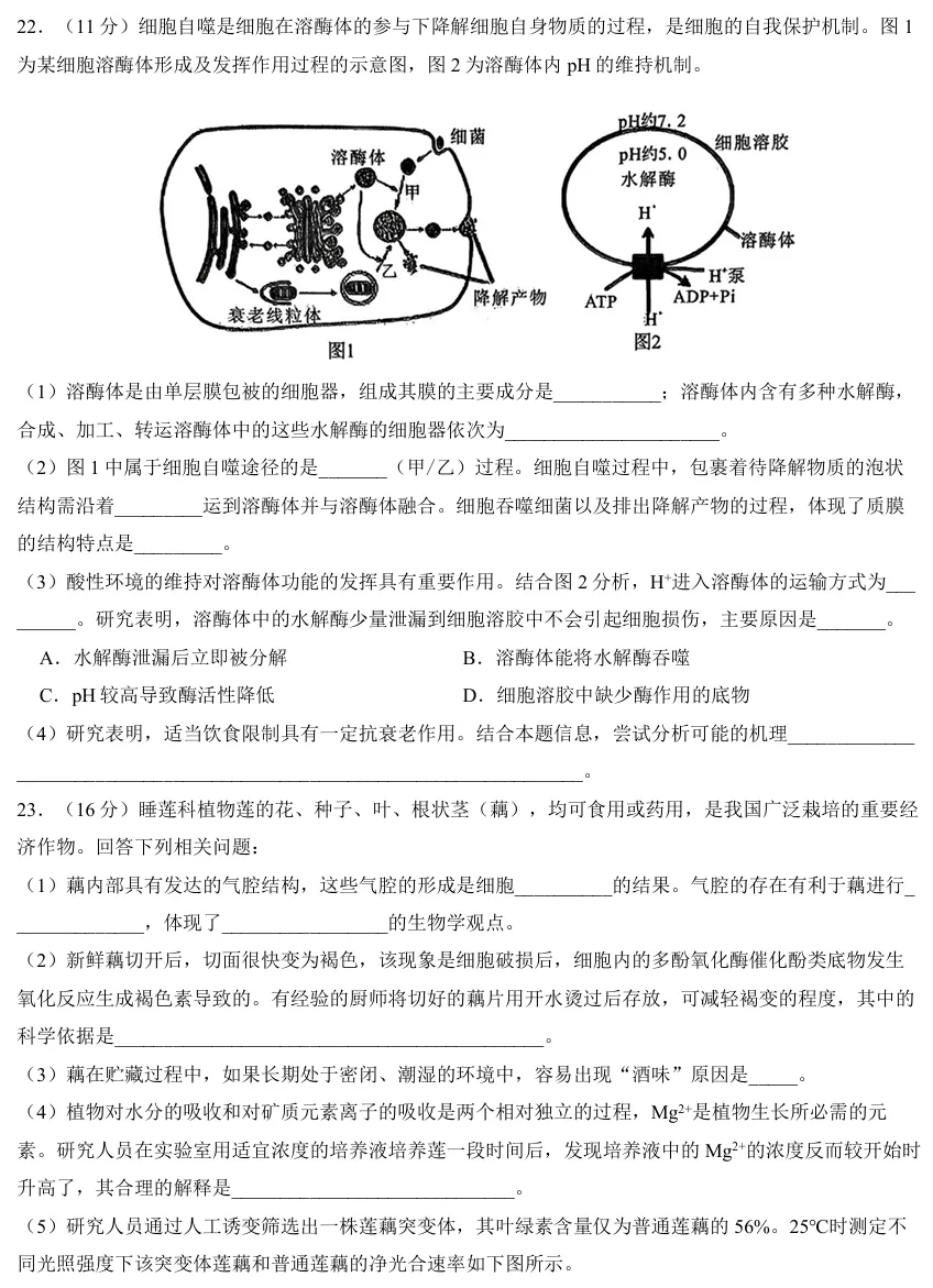 2026年6月诸暨高一期末生物试卷、答案-第5张图片-四季读书网