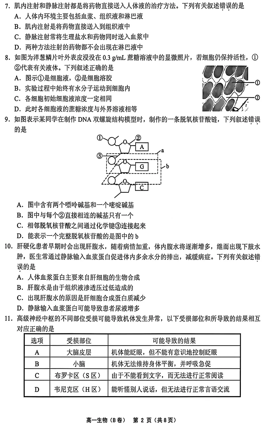 2026年6月绍兴柯桥高一期末生物试卷(B卷)、答案-第2张图片-四季读书网