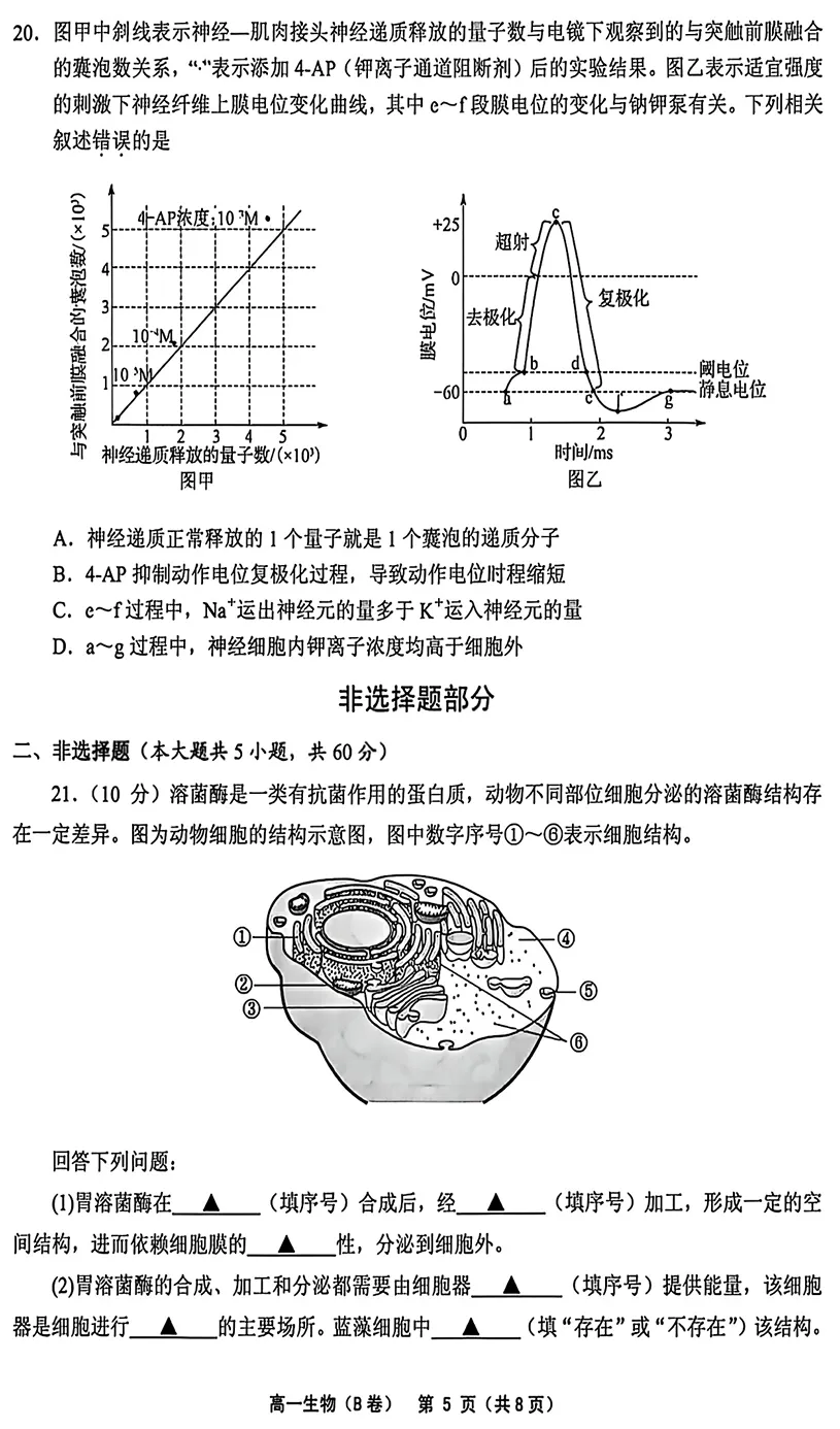 2026年6月绍兴柯桥高一期末生物试卷(B卷)、答案-第5张图片-四季读书网