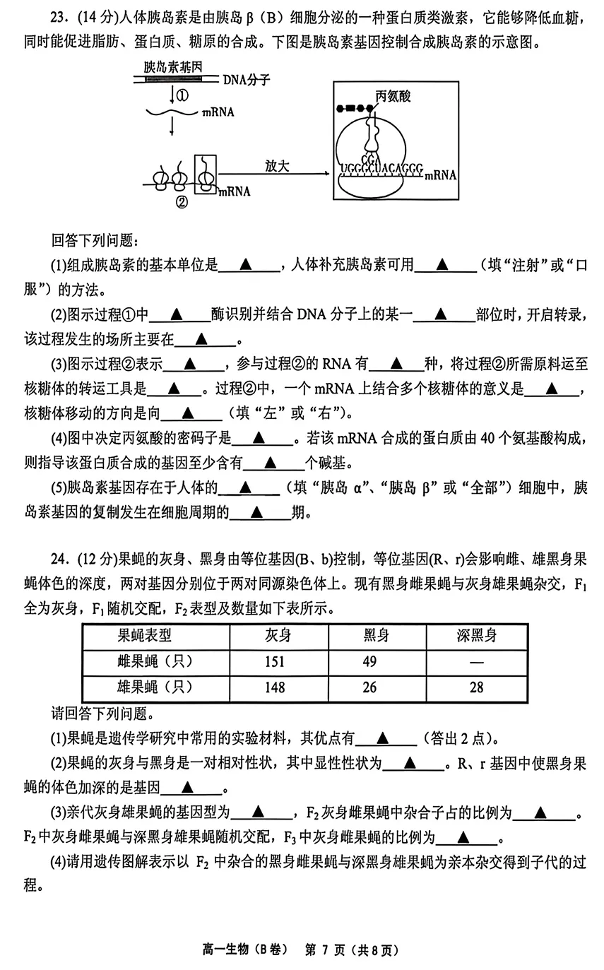 2026年6月绍兴柯桥高一期末生物试卷(B卷)、答案-第7张图片-四季读书网