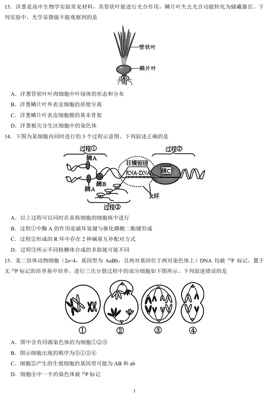 2026年6月金华高二期末生物试卷、答案和解析-第4张图片-四季读书网