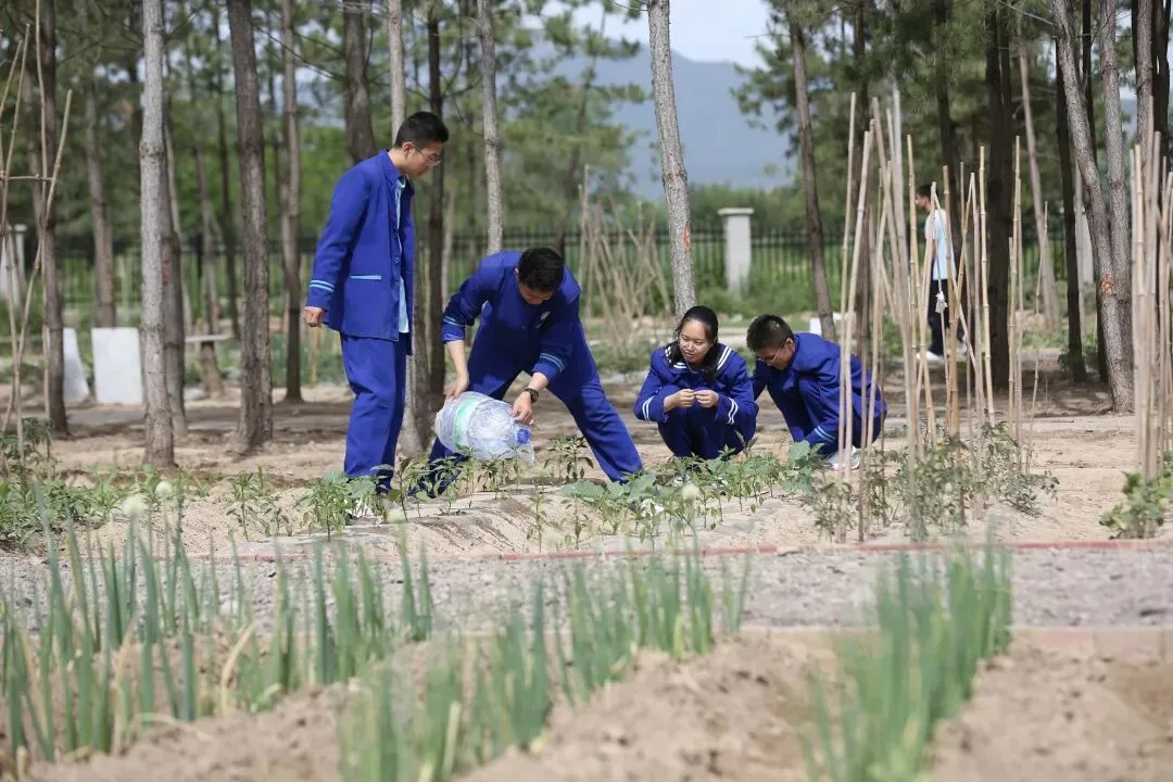 高考、中考“喜报”之外,校长的“反求诸己”与战略定力---从管理、学情到机制的深度复盘......-第6张图片-四季读书网