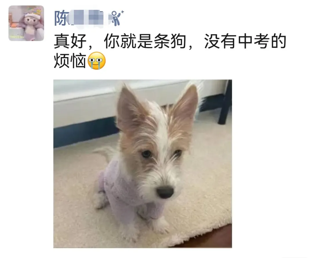 2026北京中考物理,难度跟去年比怎么样?-第2张图片-四季读书网