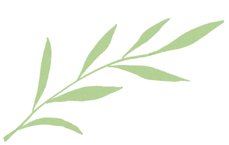 中考进行时:亚运城十年英语老师想对家长说的真心话-第30张图片-四季读书网