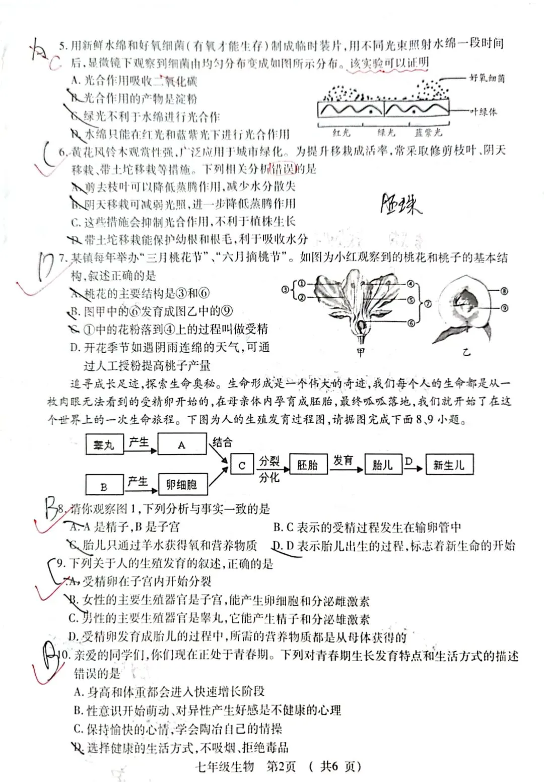 2026年春季期末质量检测七年级生物试卷+答案-第2张图片-四季读书网