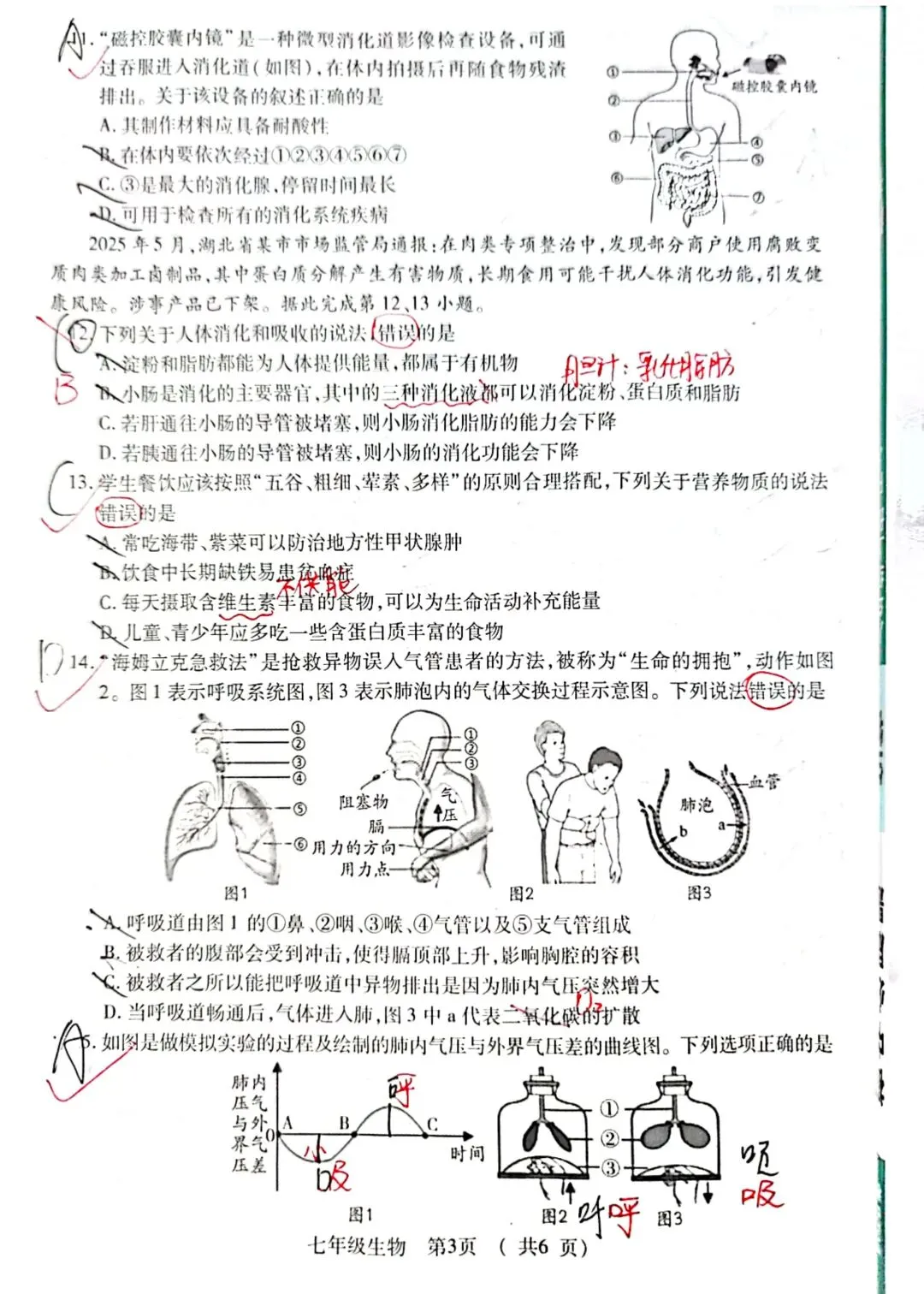 2026年春季期末质量检测七年级生物试卷+答案-第3张图片-四季读书网