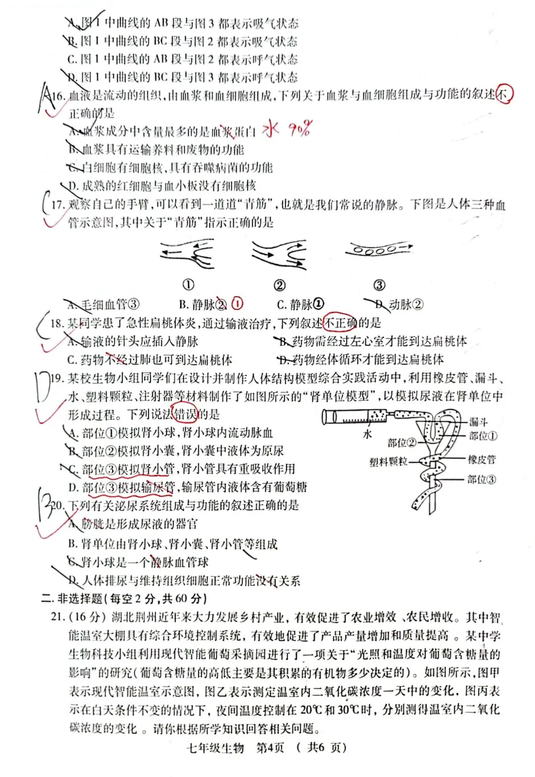 2026年春季期末质量检测七年级生物试卷+答案-第4张图片-四季读书网