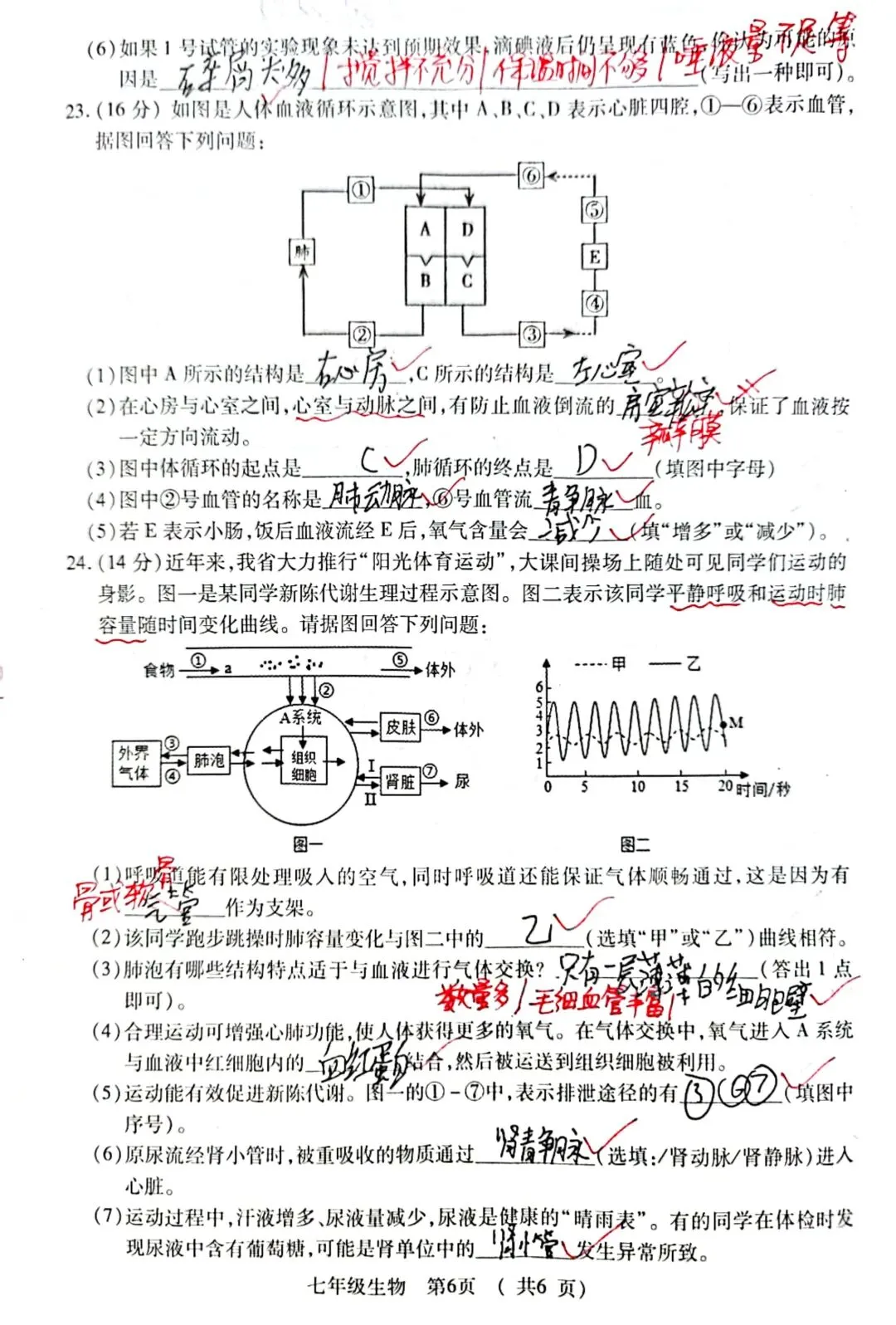 2026年春季期末质量检测七年级生物试卷+答案-第6张图片-四季读书网