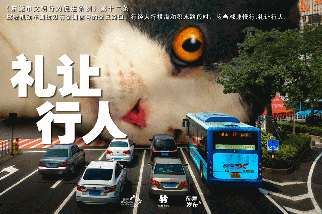莞城学子,加油!中考首日现场直击→-第24张图片-四季读书网