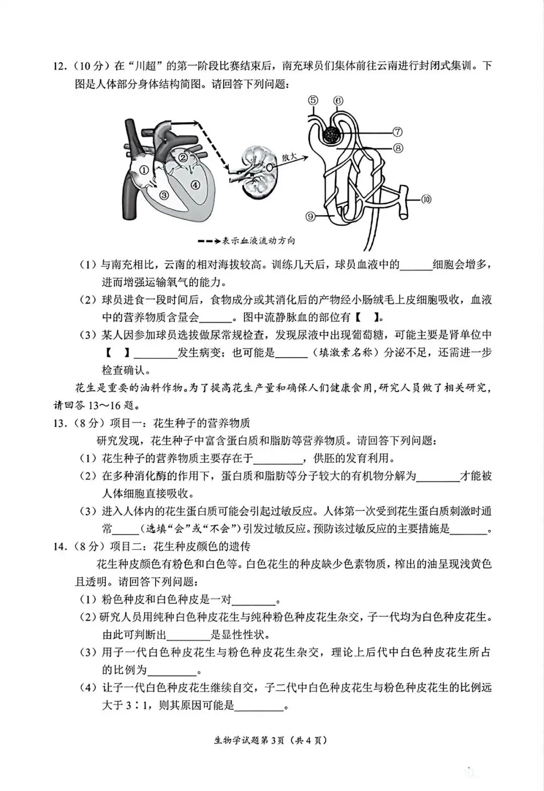 2026南充“中考”生物真题与答案-第3张图片-四季读书网