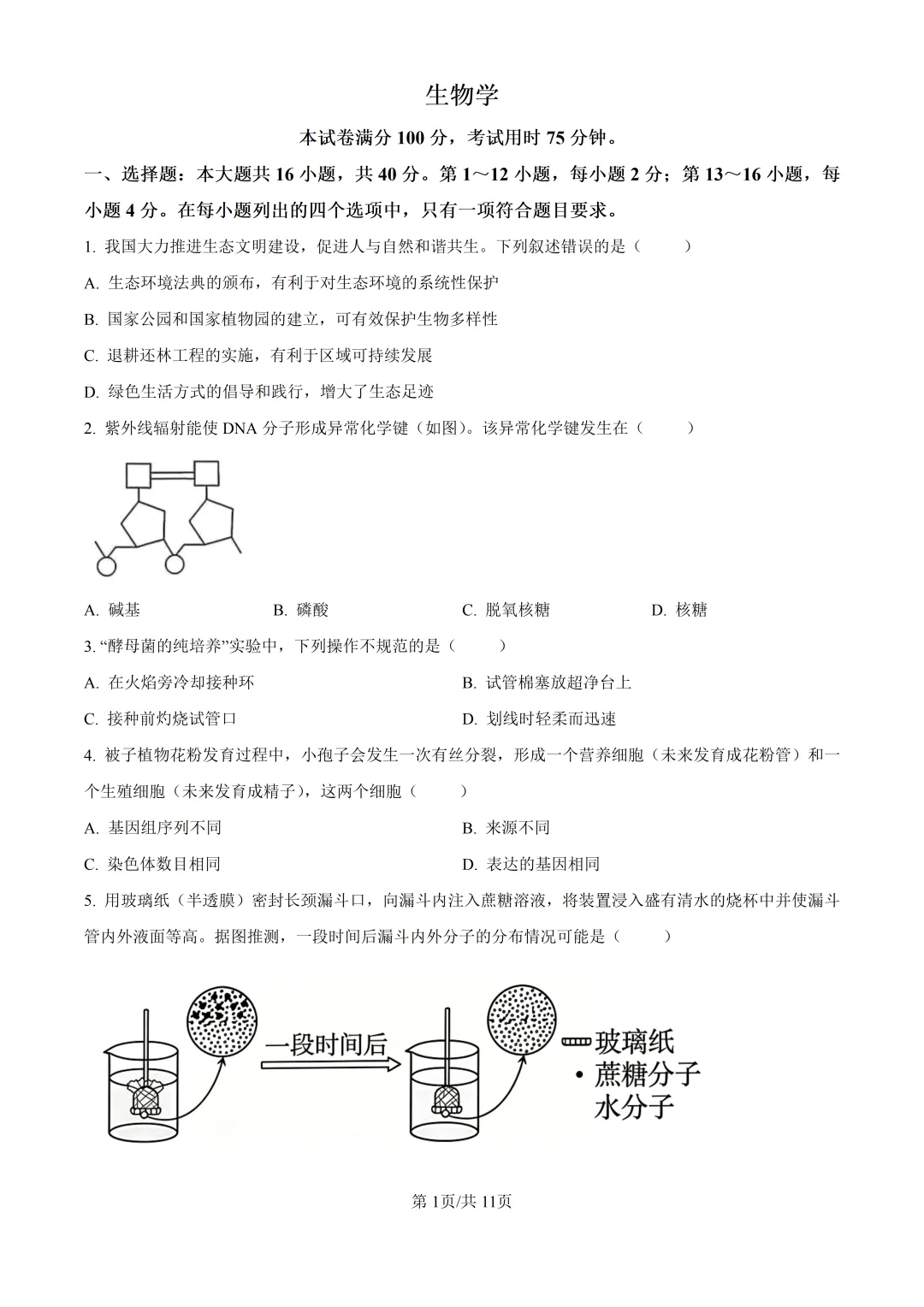2026高考生物广东卷真题与答案-第2张图片-四季读书网
