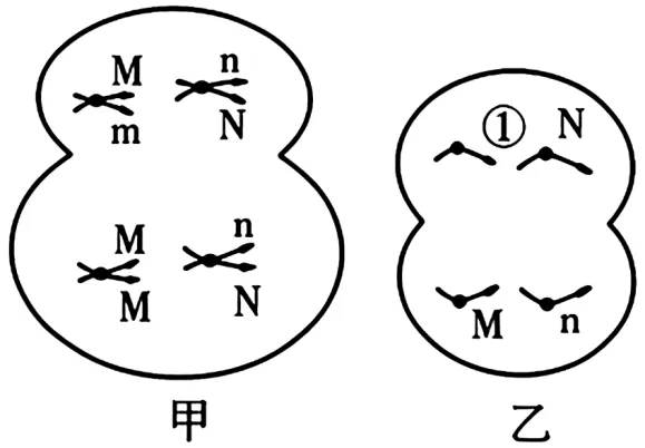 2026年山东省高考生物真题完全解读-第17张图片-四季读书网