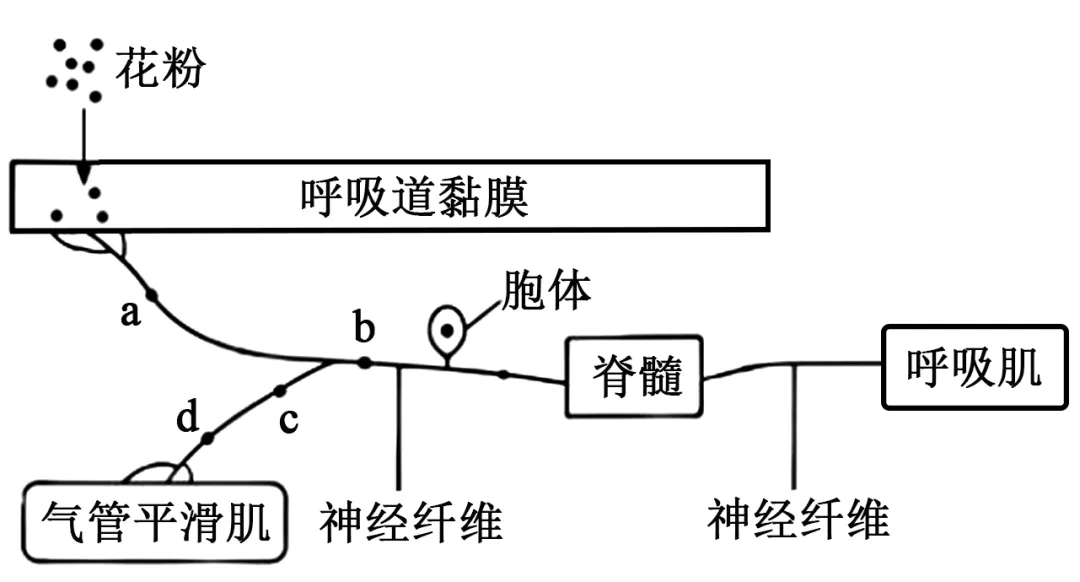 2026年山东省高考生物真题完全解读-第30张图片-四季读书网
