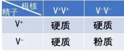 深度分析真题:2026广东高考基因工程压轴母题,讲透三引物PCR与RNAi玄机-第3张图片-四季读书网 深度分析真题:2026广东高考基因工程压轴母题,讲透三引物PCR与RNAi玄机-第3张图片-四季读书网
