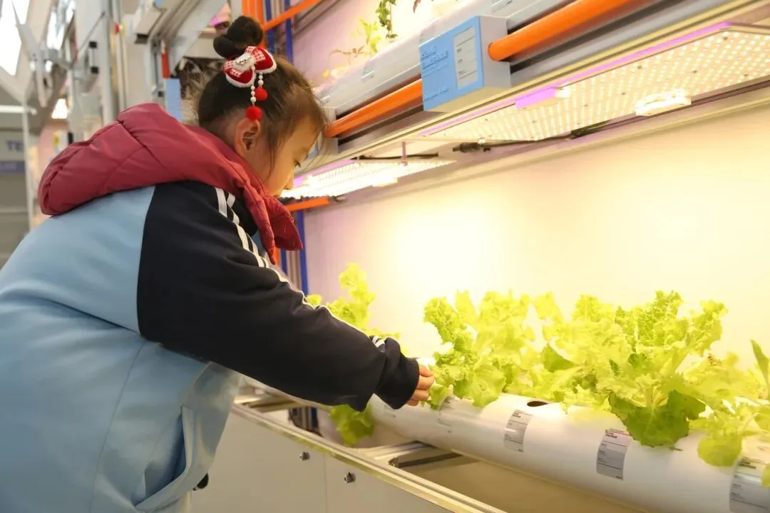 沂水中考成绩已公布!这学校开始招生了~-第5张图片-四季读书网