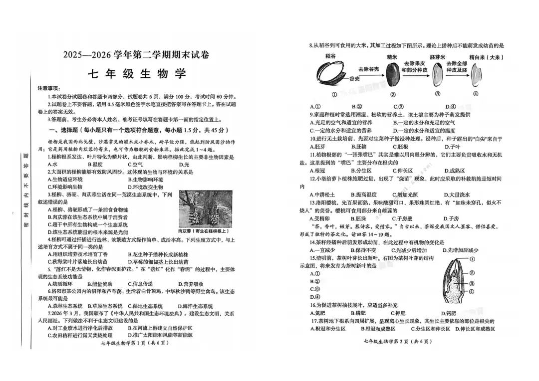 【七下期末】2026年洛阳市七下期末试卷及答案(全科)-第22张图片-四季读书网