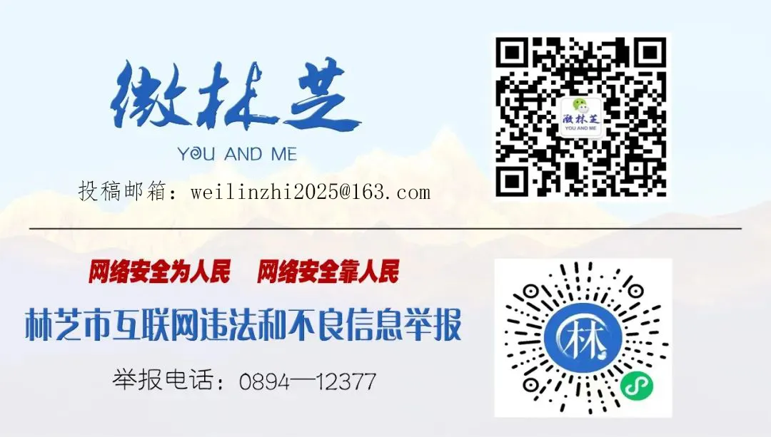 关于在2026年中考期间调整公交车发班频次的公告-第2张图片-四季读书网