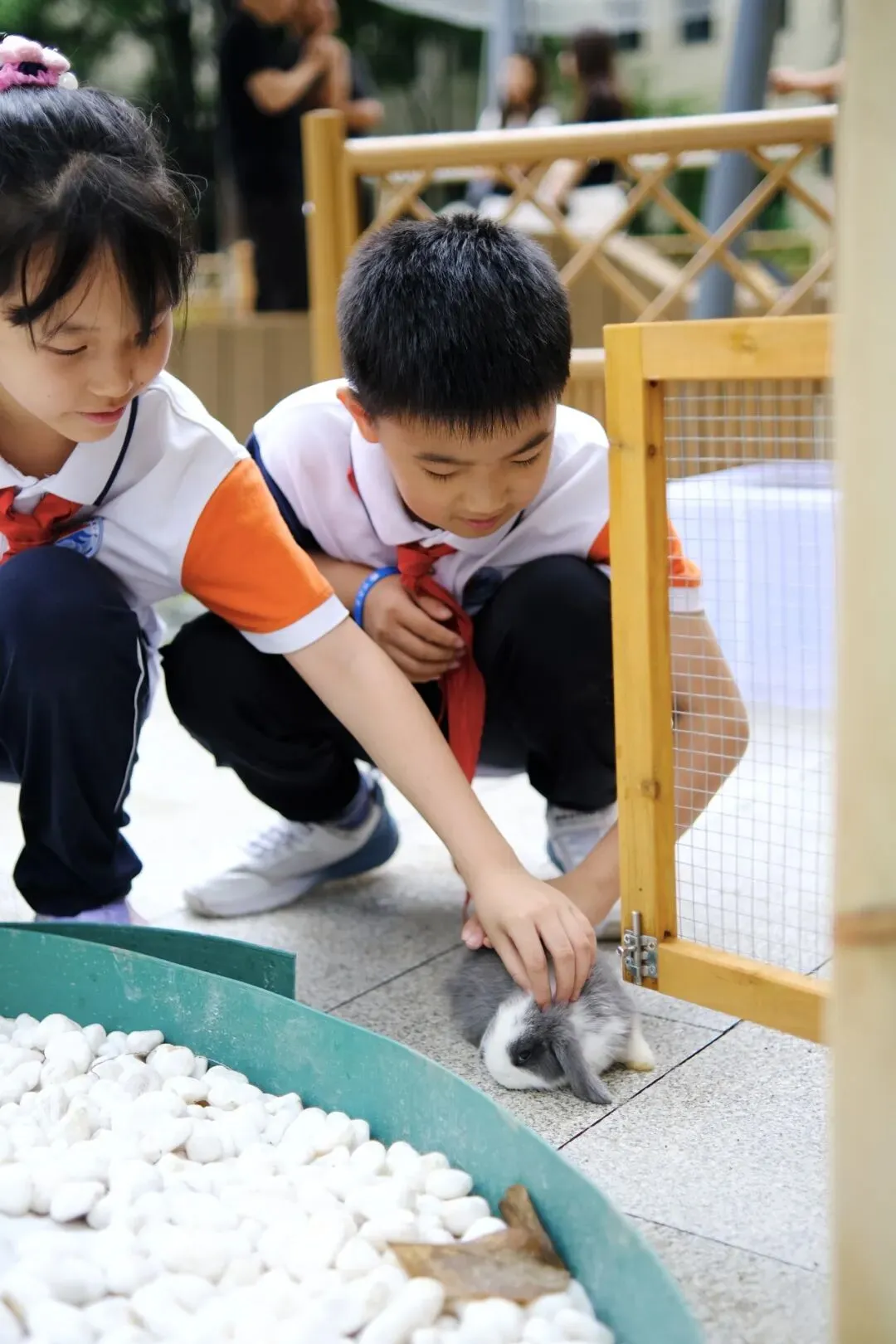 不执试卷执笔实践,深耕素养聚力生长——杭州市丹枫实验小学免考生跨学科实践探索-第53张图片-四季读书网 不执试卷执笔实践,深耕素养聚力生长——杭州市丹枫实验小学免考生跨学科实践探索-第53张图片-四季读书网