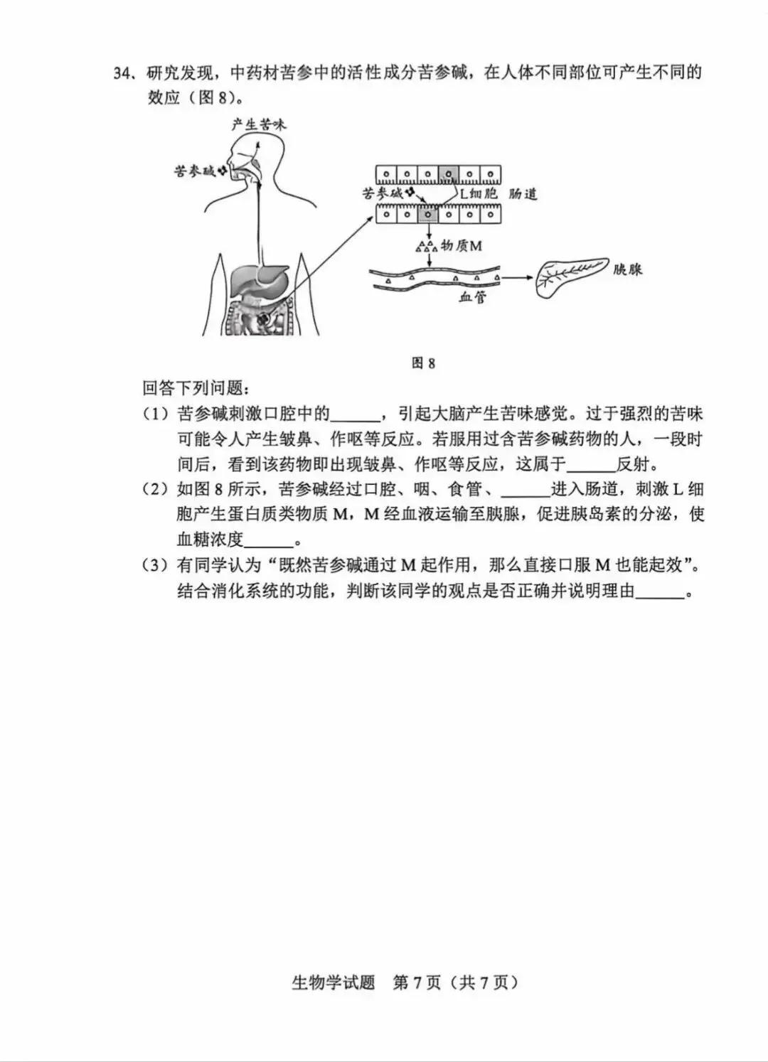 2026年广东中考真题1(生物、地理、语文)-第5张图片-四季读书网