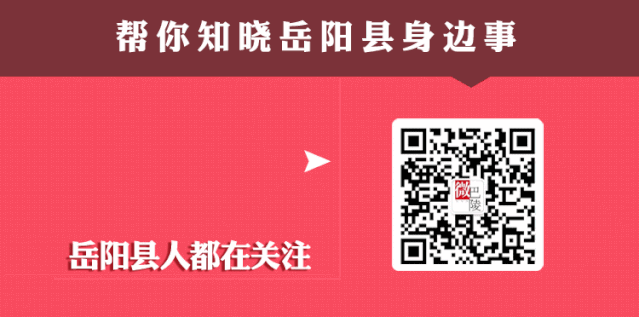 中考成绩查询方式来了→-第5张图片-四季读书网