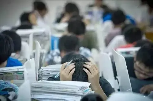 2026中考大变局!《爱莲说》闯入英语试卷:吃透传统文化英译,才是新中考高分关键-第14张图片-四季读书网