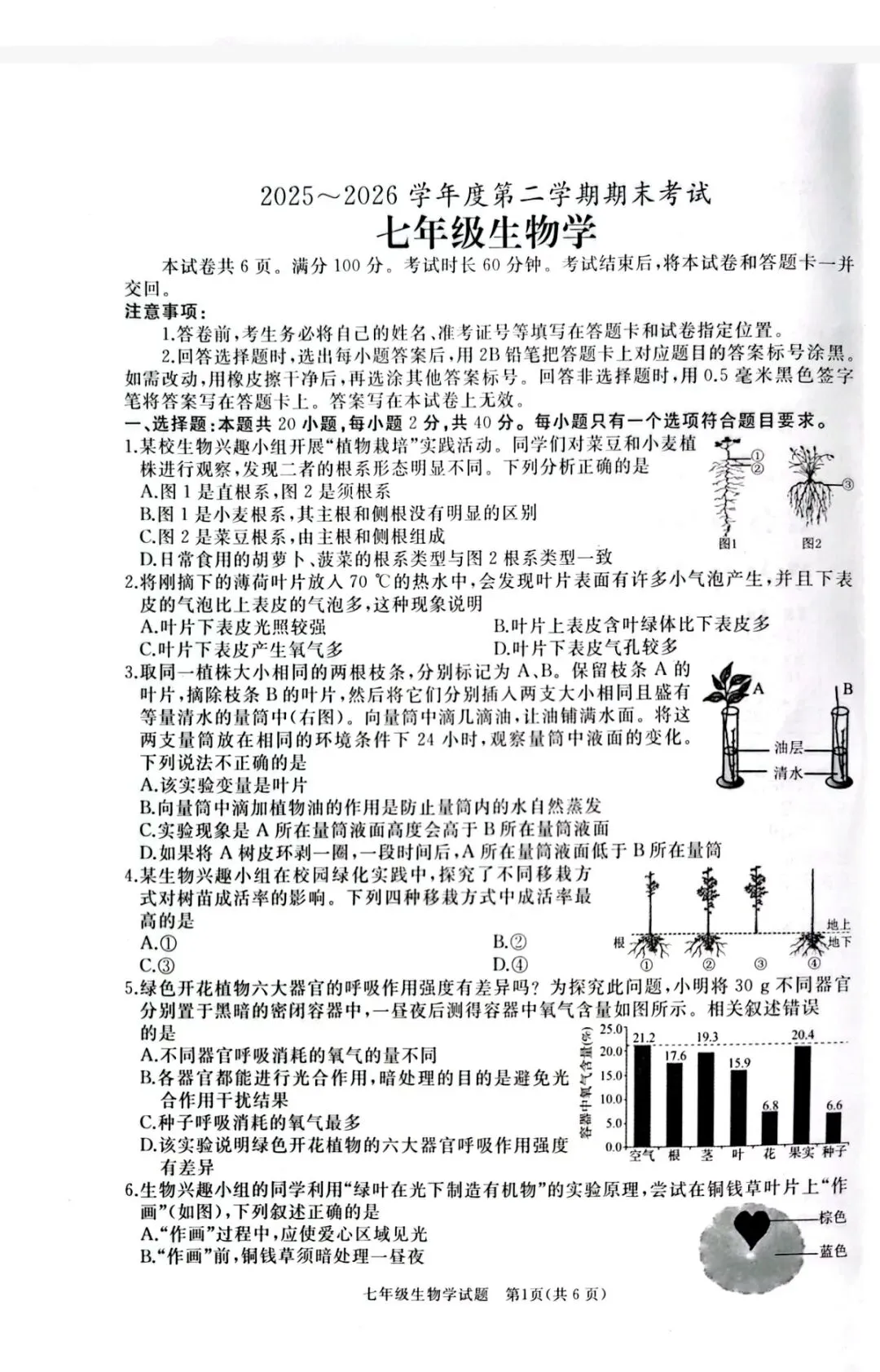 2026年七年级下学期期末各科试卷及答案来了,可以估分了-第54张图片-四季读书网 2026年七年级下学期期末各科试卷及答案来了,可以估分了-第54张图片-四季读书网