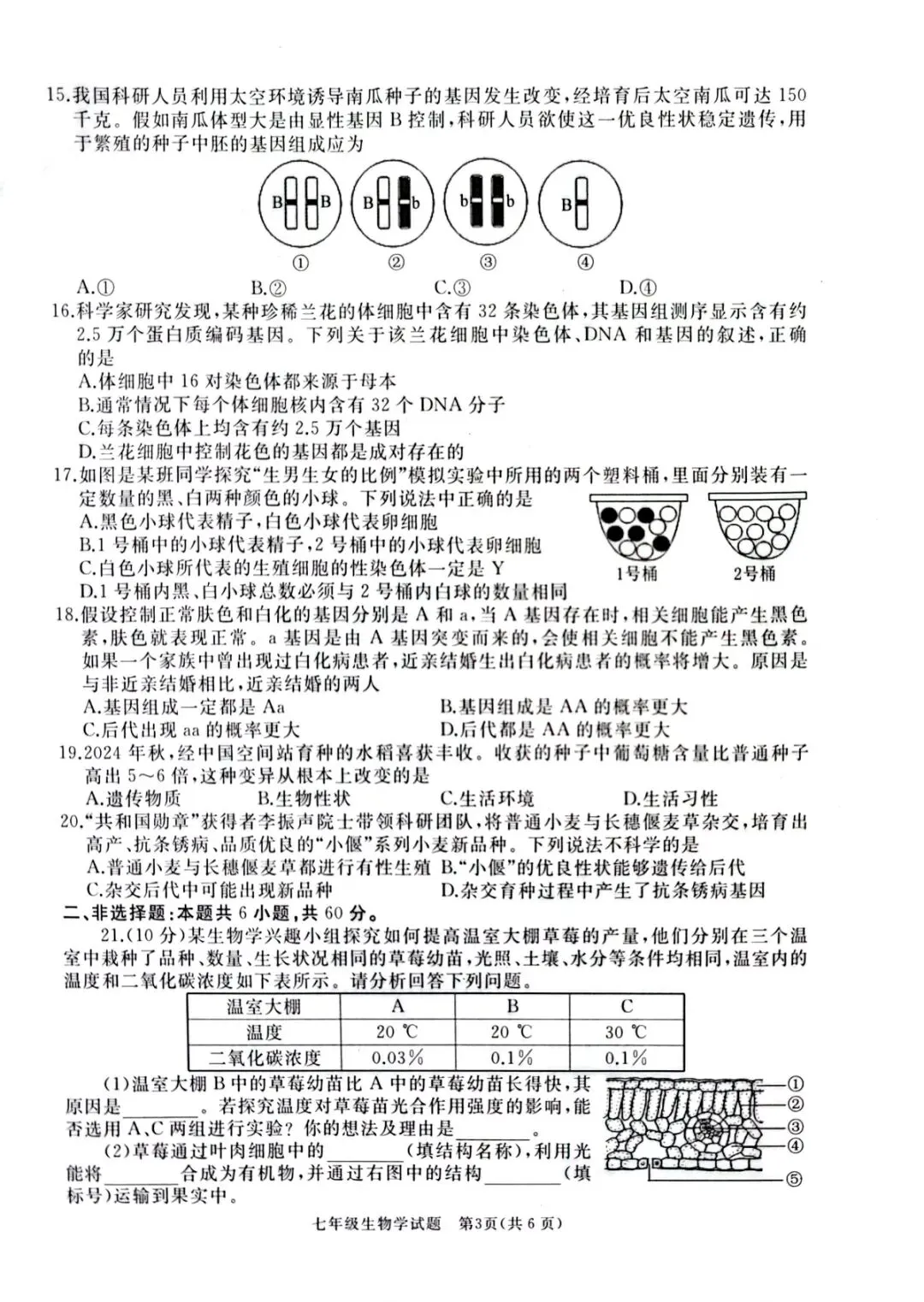 2026年七年级下学期期末各科试卷及答案来了,可以估分了-第56张图片-四季读书网 2026年七年级下学期期末各科试卷及答案来了,可以估分了-第56张图片-四季读书网