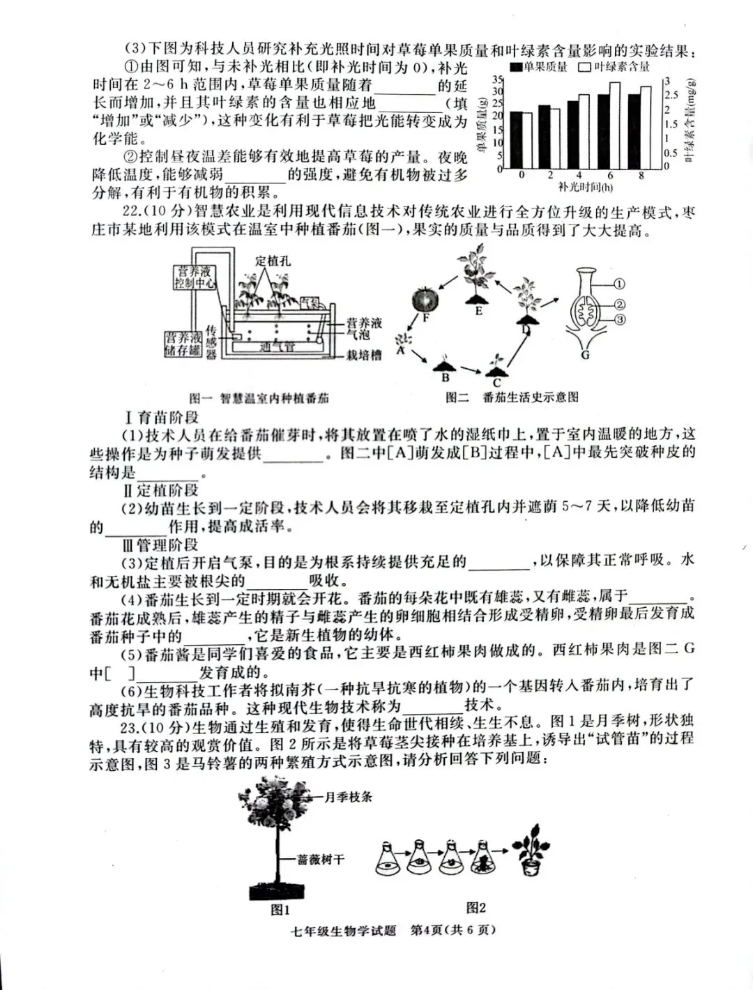 2026年七年级下学期期末各科试卷及答案来了,可以估分了-第57张图片-四季读书网 2026年七年级下学期期末各科试卷及答案来了,可以估分了-第57张图片-四季读书网