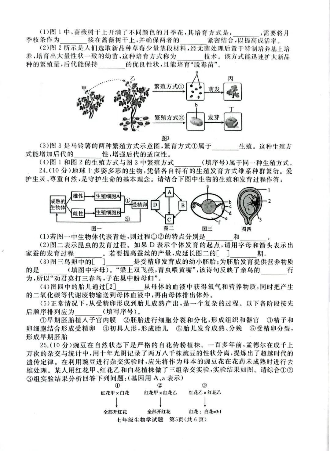 2026年七年级下学期期末各科试卷及答案来了,可以估分了-第58张图片-四季读书网 2026年七年级下学期期末各科试卷及答案来了,可以估分了-第58张图片-四季读书网