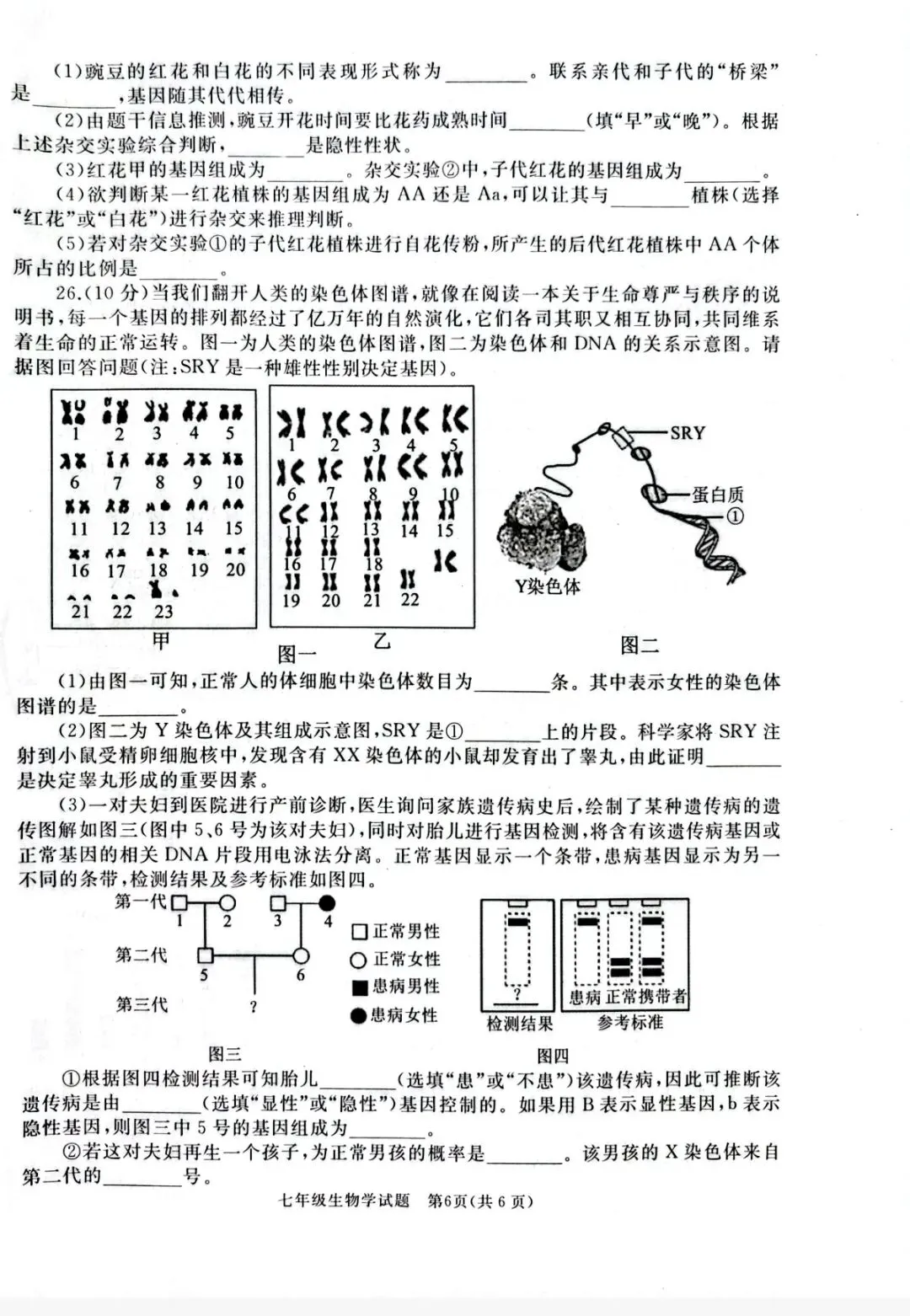 2026年七年级下学期期末各科试卷及答案来了,可以估分了-第59张图片-四季读书网 2026年七年级下学期期末各科试卷及答案来了,可以估分了-第59张图片-四季读书网
