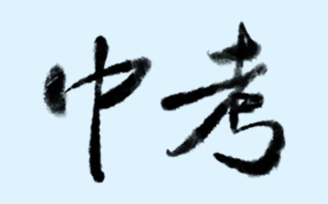 中考加油 | 笔锋所至,梦想开花-第36张图片-四季读书网