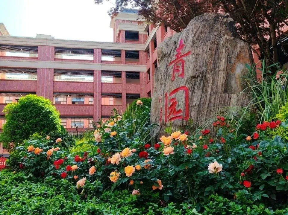 公告 | 2026年中考志愿填报现场咨询会-第3张图片-四季读书网