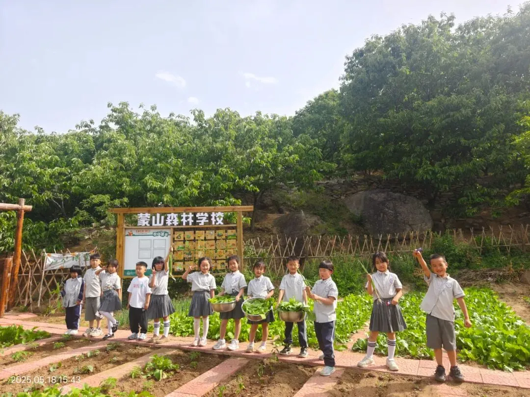 纸笔试卷画上句点,生活答卷正式开考-第15张图片-四季读书网 纸笔试卷画上句点,生活答卷正式开考-第15张图片-四季读书网